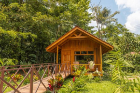La Fortuna Natural Green